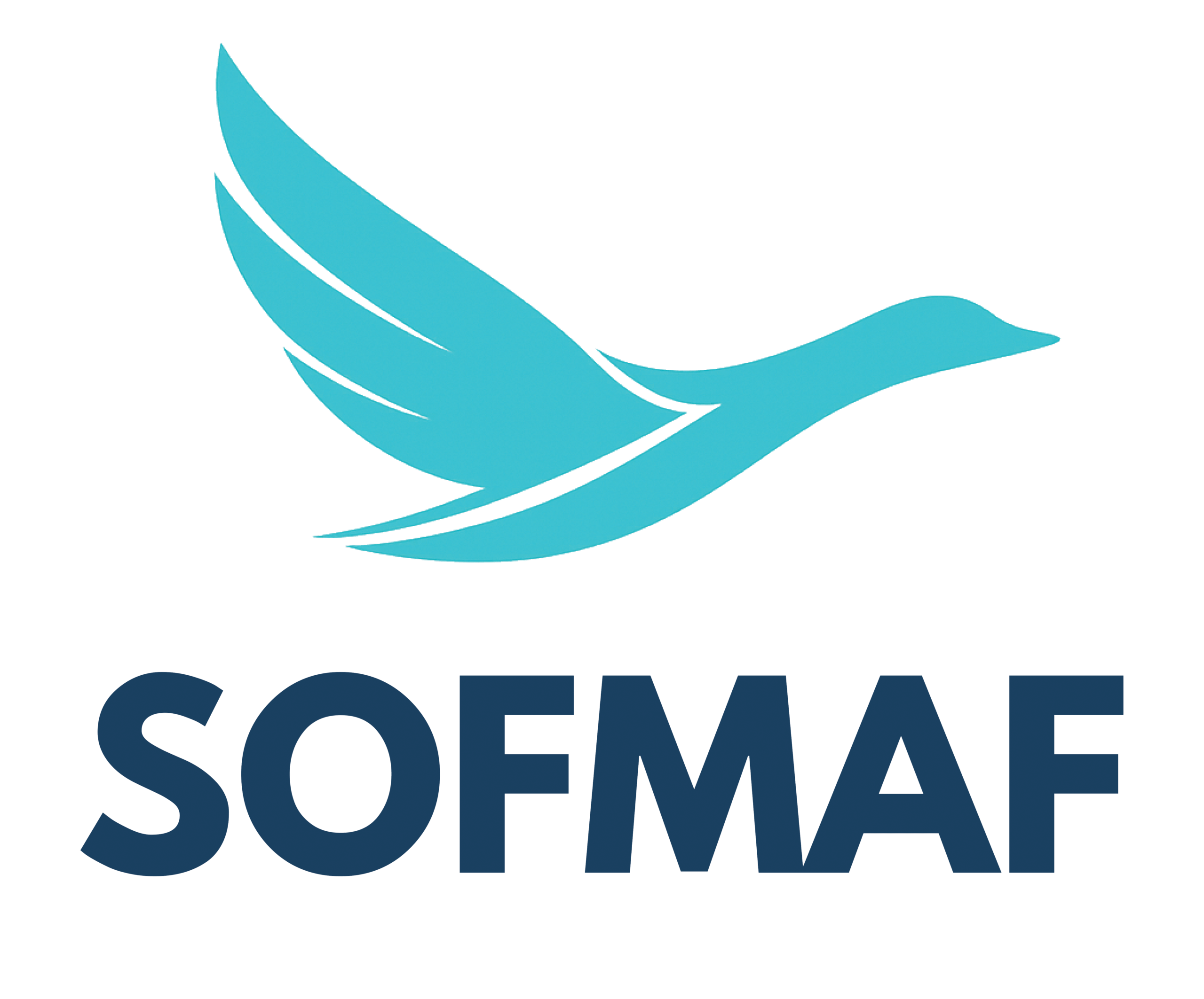 SOFMAF Marrakech hospitality consulting logo
